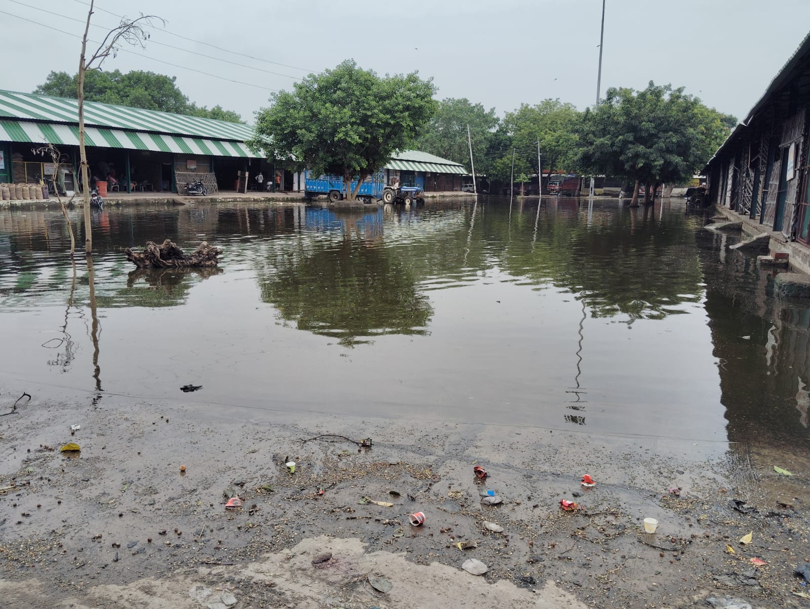 मंडी में भरा नाले का पानी, आढ़तियों ने किया प्रदर्शन, बरसात बंद होने के 72 घंटे बाद भी नहीं हो सकी पानी की निकासी
