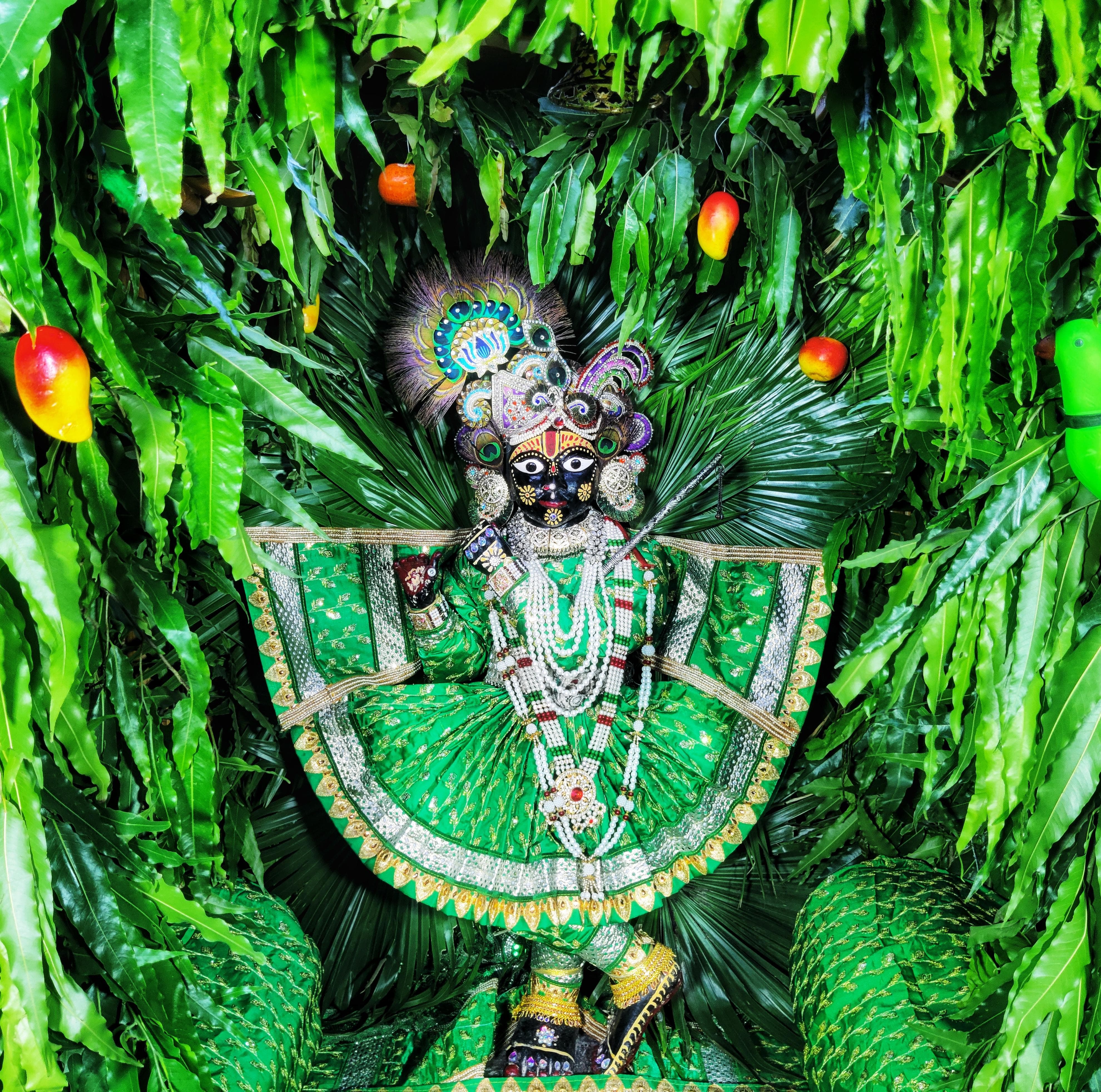 नाई की मंडी स्थित प्राचीन पुष्टिमार्गीय श्री प्रेमनिधि जी मंदिर में हरियाली तीज मनोरथ का भव्य आयोजन