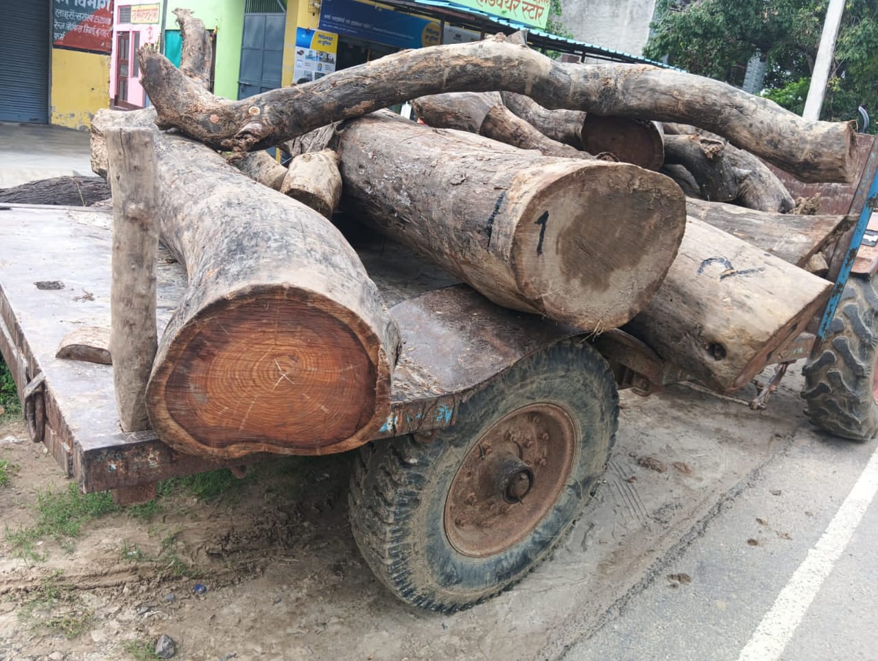 शीशम की लकड़ी काटने वाले चोरों से वसूला जुर्माना