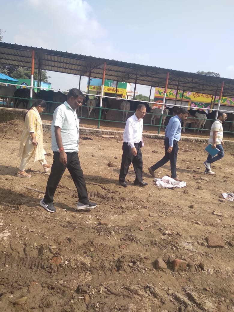 निदेशक ग्राम विकास सुभाष चन्द्र त्रिपाठी एवं एईआरडी कोमल ने नवनिर्मित शांति गौशाला का किया निरीक्षण