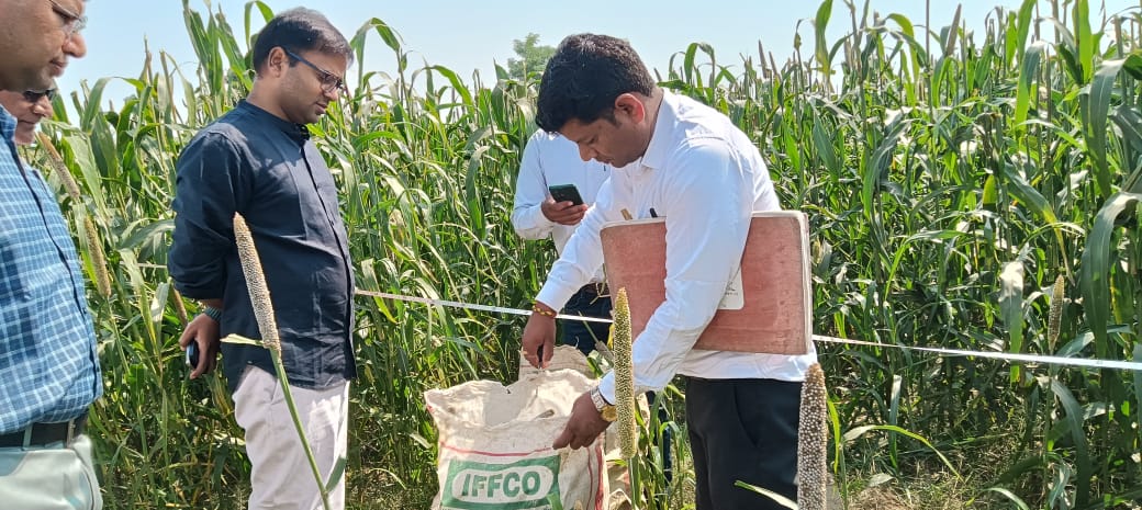 जिला अधिकारी रमेश रंजन ने ग्राम पंचायत दौकेली मे बाजरा फसल की कॉप्ट कटिंग कराकर फसल की उपज का लगाया सकीट अनुमान