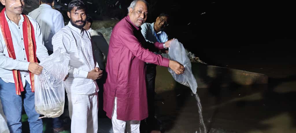 डॉ0 संजय कुमार निषाद कैबिनेट मंत्री मत्स्य उत्तर प्रदेश ने यमुना नदी के चंद्रवार घाट पर 2 लाख मत्स्य अंगुलिकाओं का संचय किया
