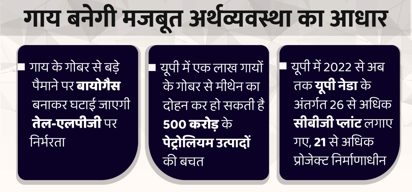 गाय बनेगी मजबूत अर्थव्यवस्था का आधार, बड़ी संख्या में गो पालकों को होगी आमदनी