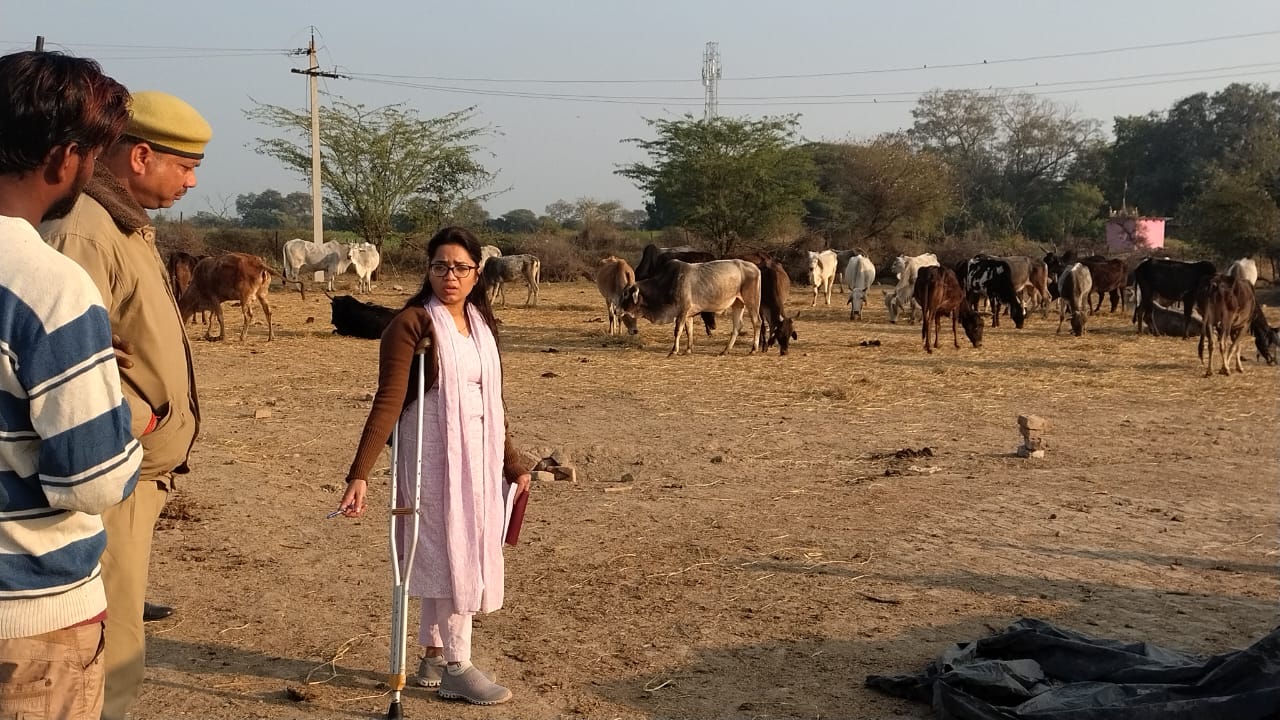 देवगांव गौशाला की दुर्दशा देख भड़कीं एसडीएम, बीडीओ को कार्रवाई के निर्देश
