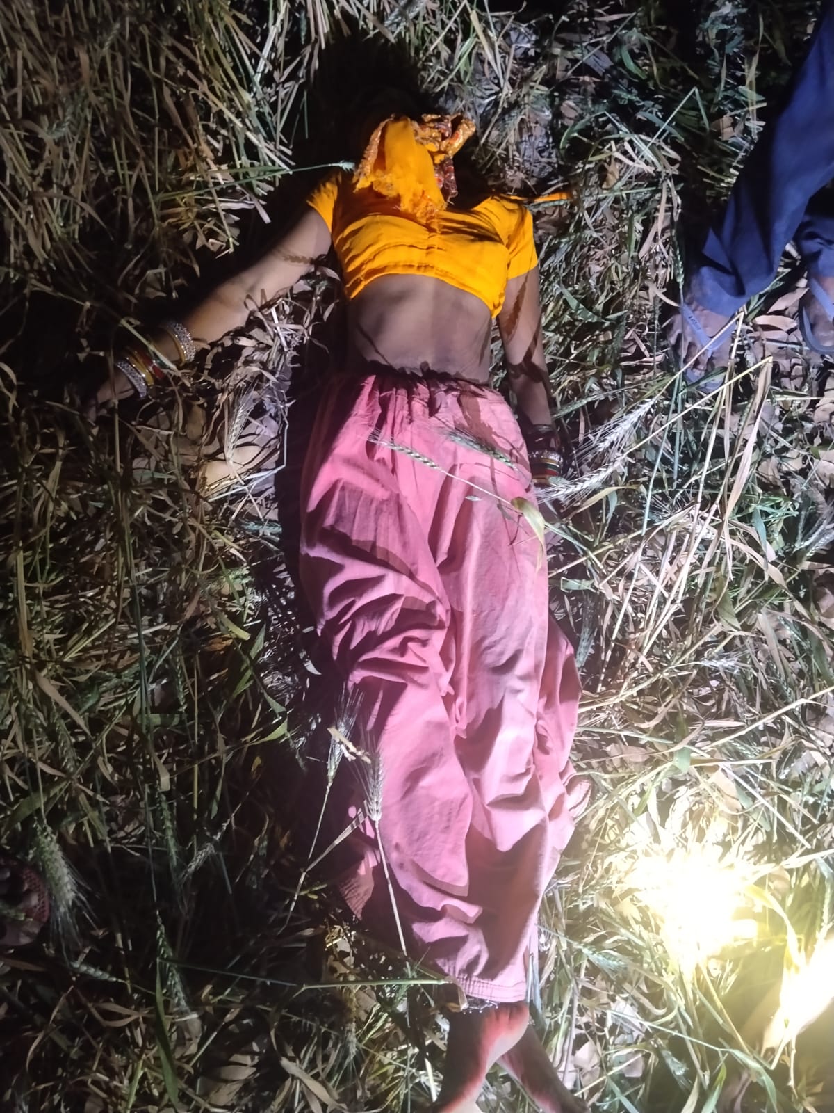 प्रेम-प्रसंग में देवर-भाभी ने पेड़ से लटककर दी जान, नवरात्रि पर साथ में किया था डांस