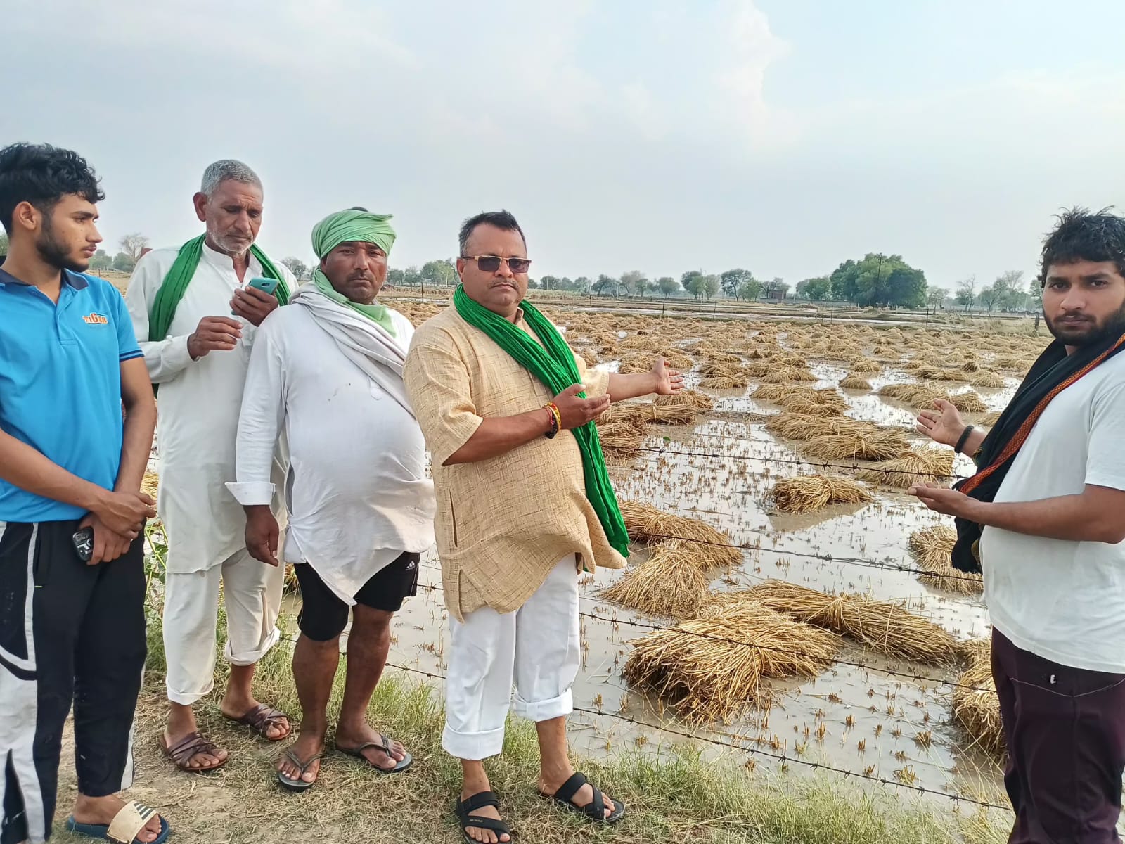 बरौली, बल्देव, क्षेत्र में बारिश व ओलावृष्टि से किसानों का भारी नुकसान