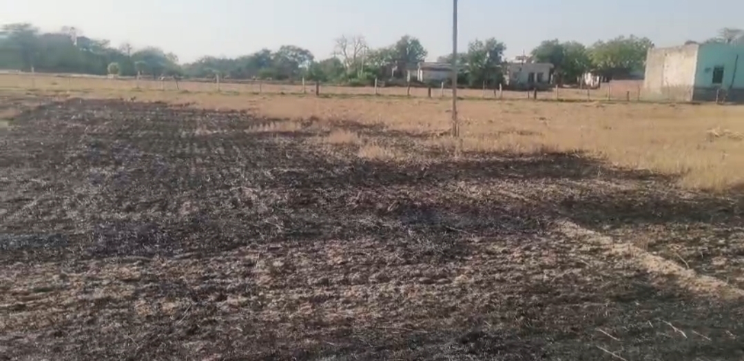 बिजली के सार्ट सर्किट से किसान की ख़डी फ़सल में लगी आग, सूचना के बाद पुलिस प्रसाशन के अधिकारी पहुंचे गाँव