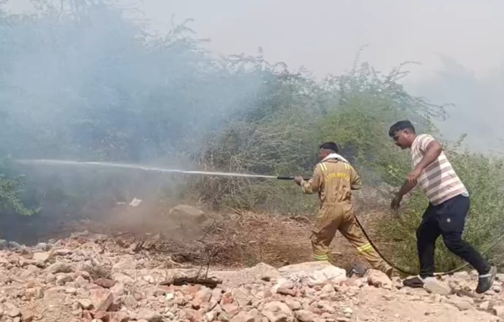 छिरावली गांव के जंगल में लगी भीषण आग, ग्रामीणों और फायर ब्रिगेड ने संभाला मोर्चा, ग्रामीणों में अफरा-तफरी का माहौल