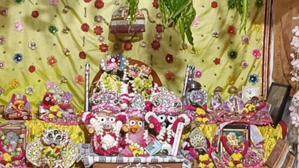 अग्र बिहारी महाराज की रथ यात्रा में उमड़ा जनसैलाब