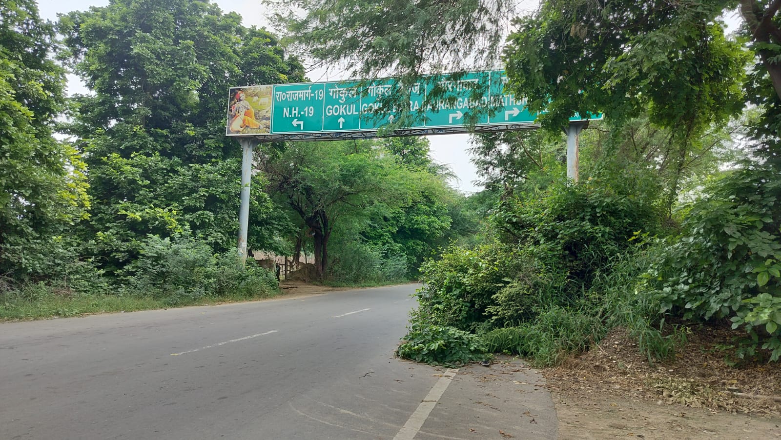 सड़क किनारे उगी झाड़ियों से आवागमन में दिक्कत, हादसे का खतरा