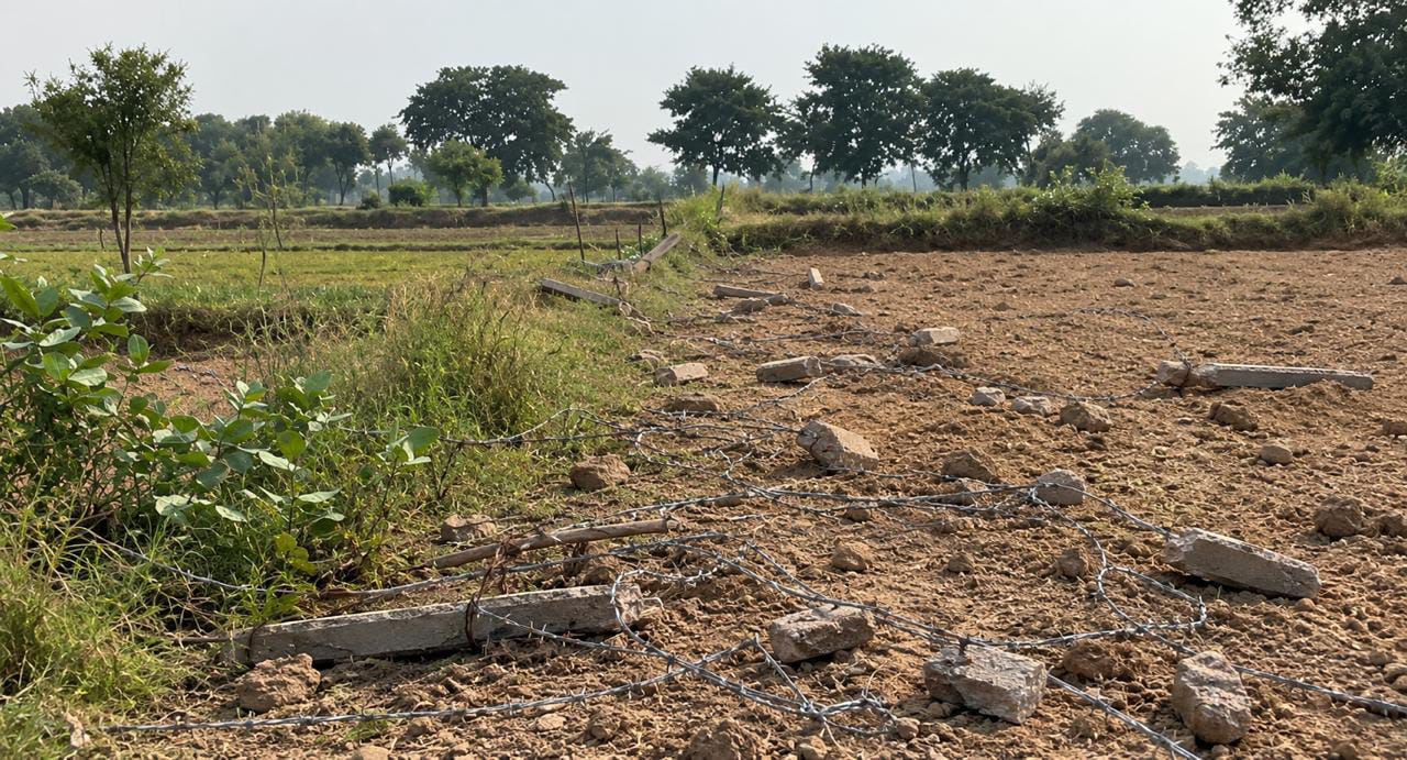 फरह में जमीन को लेकर विवाद, फायरिंग का आरोप