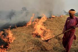मुख्यमंत्री योगी के सख्त निर्देशों का असर, उत्तर प्रदेश में पराली जलाने की घटनाओं में आई उल्लेखनीय कमी