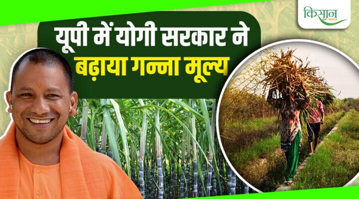योगी सरकार द्वारा घोषित नई दरों पर गन्ना मूल्य भुगतान शुरू