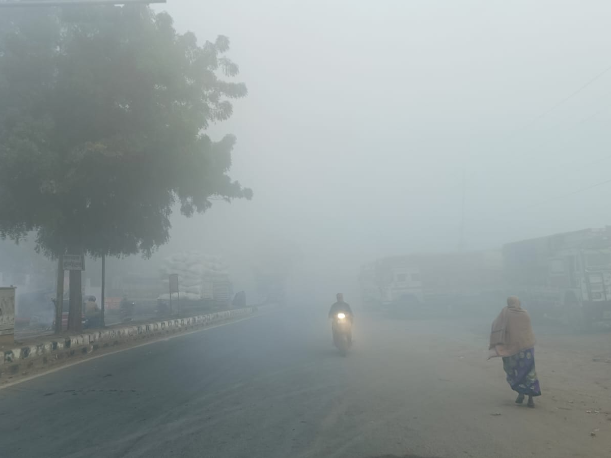 आगरा की ताजनगरी में घने कोहरे का तांडव: विजिबिलिटी शून्य, पारा गिरा, हाईवे पर रेंग रहे वाहन